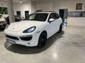 Porsche Cayenne S Diesel SportDesign,Alcantara,Exclusive Weiß - thumbnail 1