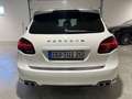 Porsche Cayenne S Diesel SportDesign,Alcantara,Exclusive Weiß - thumbnail 5