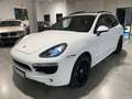 Porsche Cayenne S Diesel SportDesign,Alcantara,Exclusive Weiß - thumbnail 2