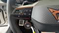 CUPRA Formentor VZ 2.0TSI 4D DSG*ACC*Beats*el.Heck* Weiß - thumbnail 15