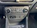 Ford EcoSport 1.0 ST-Line Kamera Navi AHK Winterräder Rouge - thumbnail 13