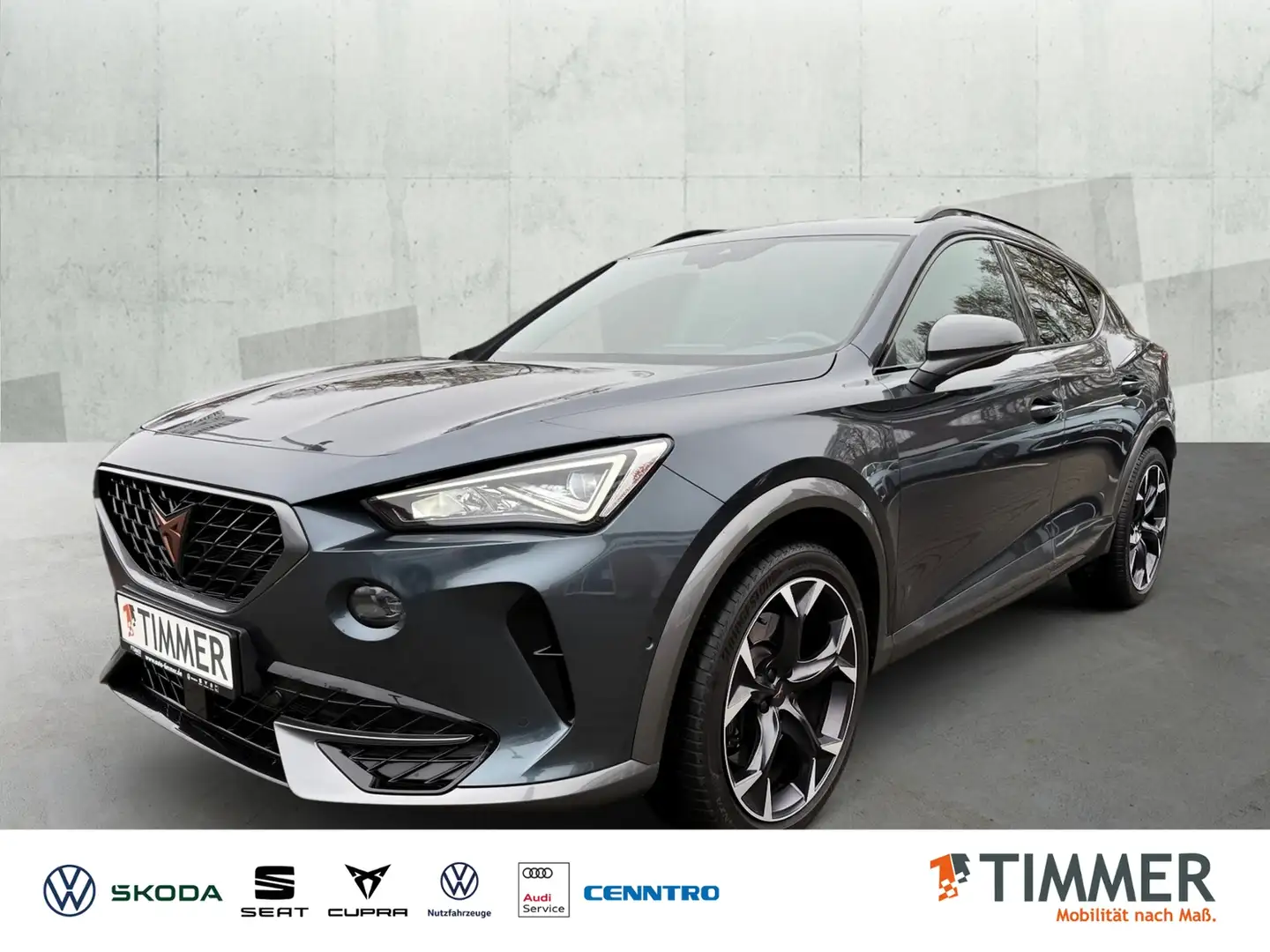 CUPRA Formentor 2.0 TSI VZ 4DRIVE +SCHALE +LED +ACC +RKAM +NAVI + Grau - 1