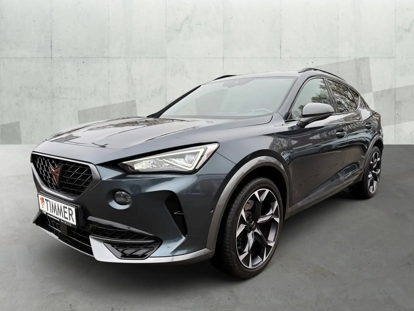 CUPRA Formentor 2.0 TSI VZ 4DRIVE +SCHALE +LED +ACC +RKAM +NAVI + Grau - 2