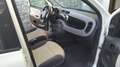 Fiat Panda Panda III 2012 1.2 Easy 69cv - thumbnail 2