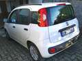 Fiat Panda Panda III 2012 1.2 Easy 69cv - thumbnail 1