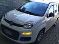 Fiat Panda Panda III 2012 1.2 Easy 69cv - thumbnail 5