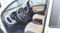 Fiat Panda Panda III 2012 1.2 Easy 69cv - thumbnail 6