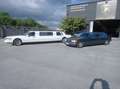 Lincoln Town Car Limousine Weiß - thumbnail 6