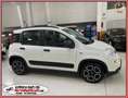 Fiat Panda HYBRID 1.0 70cv CITY LIFE *NEOPATENTATI* 5 POSTI Bianco - thumbnail 15