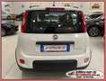 Fiat Panda HYBRID 1.0 70cv CITY LIFE *NEOPATENTATI* 5 POSTI Bianco - thumbnail 14
