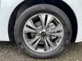 Kia Venga 1.6 CVVT ExecutiveLine //PANO// KEYLESS // STOEL+S Blanc - thumbnail 8