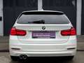 BMW 320 3er - 320 d xDrive Advantage Blanco - thumbnail 12
