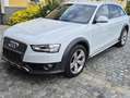 Audi A4 allroad A4 Allroad 3,0 TDI quattro clean diesel DPF S-tronic Weiß - thumbnail 7