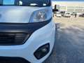 Fiat Qubo 1.3 mjt 16v Easy 80cv Weiß - thumbnail 6