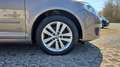 Volkswagen Golf Plus VI Style 1.4 TSI GRA PDC AHK Klimat Sh Marrone - thumbnail 15