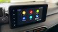 Dacia Sandero III Stepway Comfort, KAMERA, LED Grau - thumbnail 29