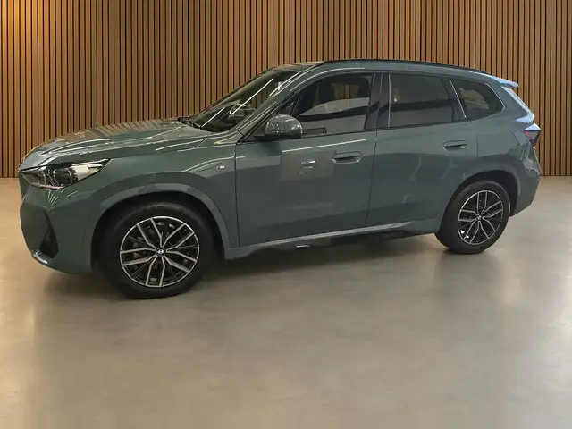 BMW X1 view 11