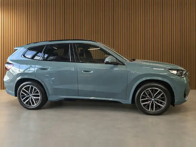 BMW X1 view 12