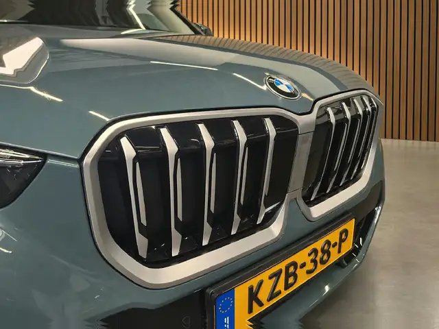 BMW X1 view 10