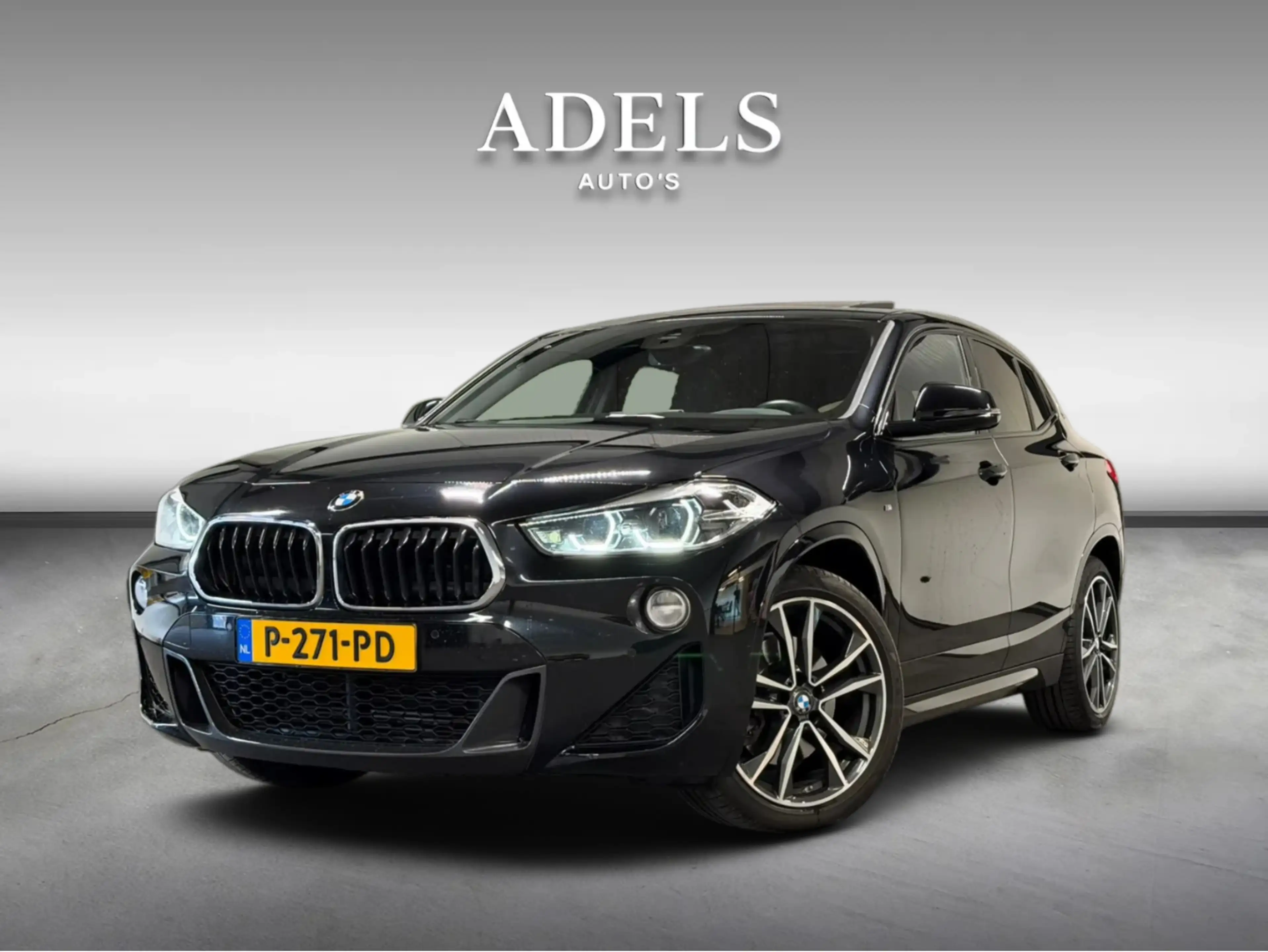 BMW X2 xDrive20i High Executive M Sport Panodak Hud Harma