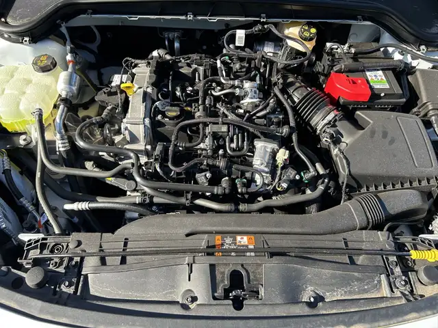 Ford Focus view 15