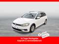 Volkswagen Golf Variant Golf VII Variant 1.6 TDI BMT Weiß - thumbnail 1