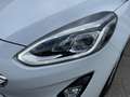 Ford Fiesta Titanium 5tg Navi Kamera 2xPDC Sitzheiz. Bianco - thumbnail 22