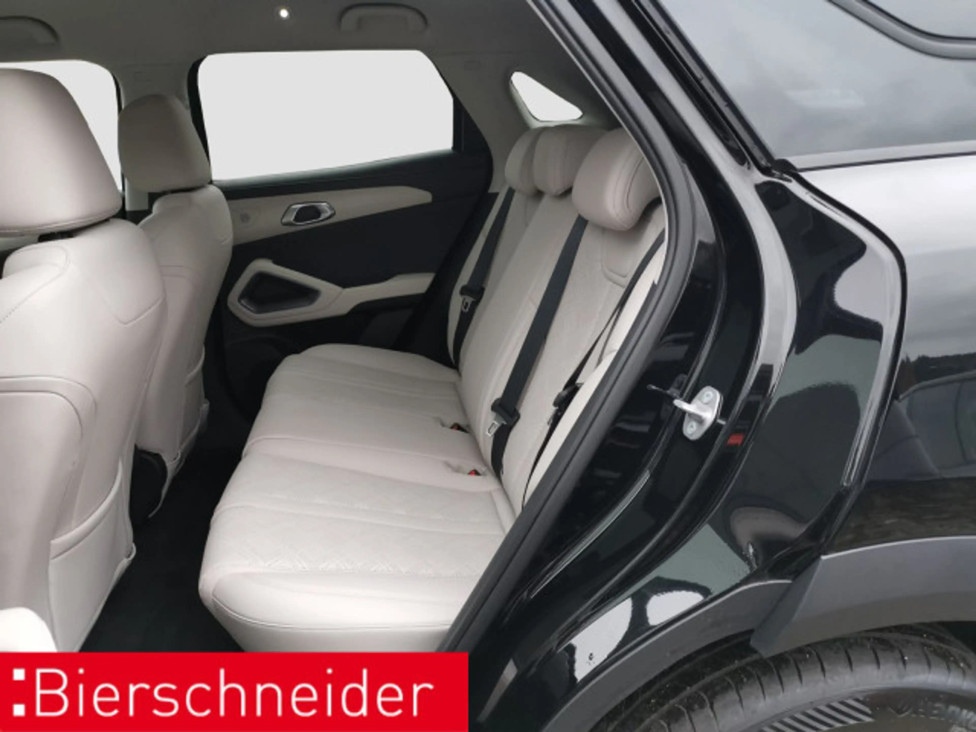 BYD Atto 2 BYD ATTO 2 Comfort PANO NAVI LEDER ACC — photo 14