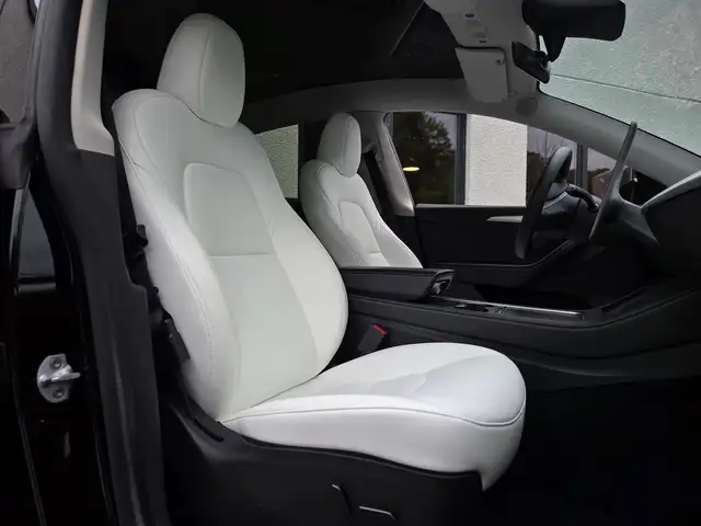 Tesla Model Y view 7