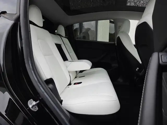 Tesla Model Y view 11