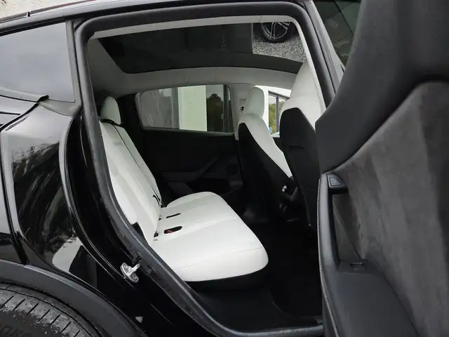 Tesla Model Y view 10