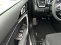 Kia ProCeed / pro_cee'd PROCEED 1.5T GT-Line LED+Glasdach+Kamera+Navi Grau - thumbnail 15
