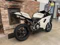 Ducati 848 Bianco - thumbnail 10