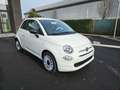 Fiat 500 1.0i MHEV Bianco - thumbnail 8