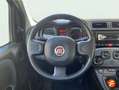 Fiat Panda City Life Hybrid 1.0 Gse 51kw (70CV) Negro - thumbnail 12