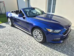 Ford Mustang Convertible 2.3 EcoBoost 317