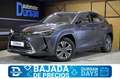 Lexus UX 300e Business Gris - thumbnail 1
