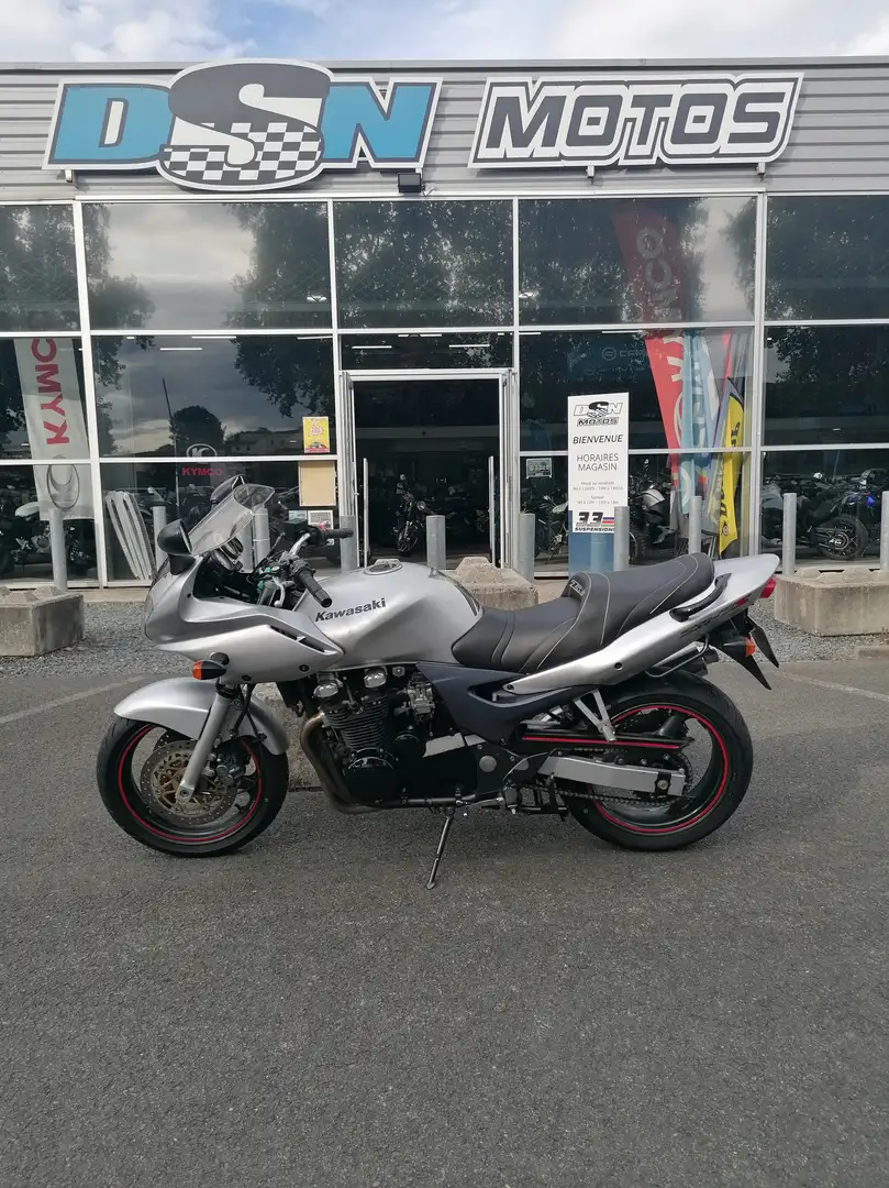 Kawasaki ZR - 7 Grau - 2