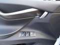 Tesla Model X Performance AWD Bianco - thumbnail 14