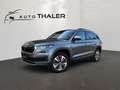 Skoda Karoq Karoq 2,0 TDI 4x4 DSG Ambition Ambition Grau - thumbnail 1