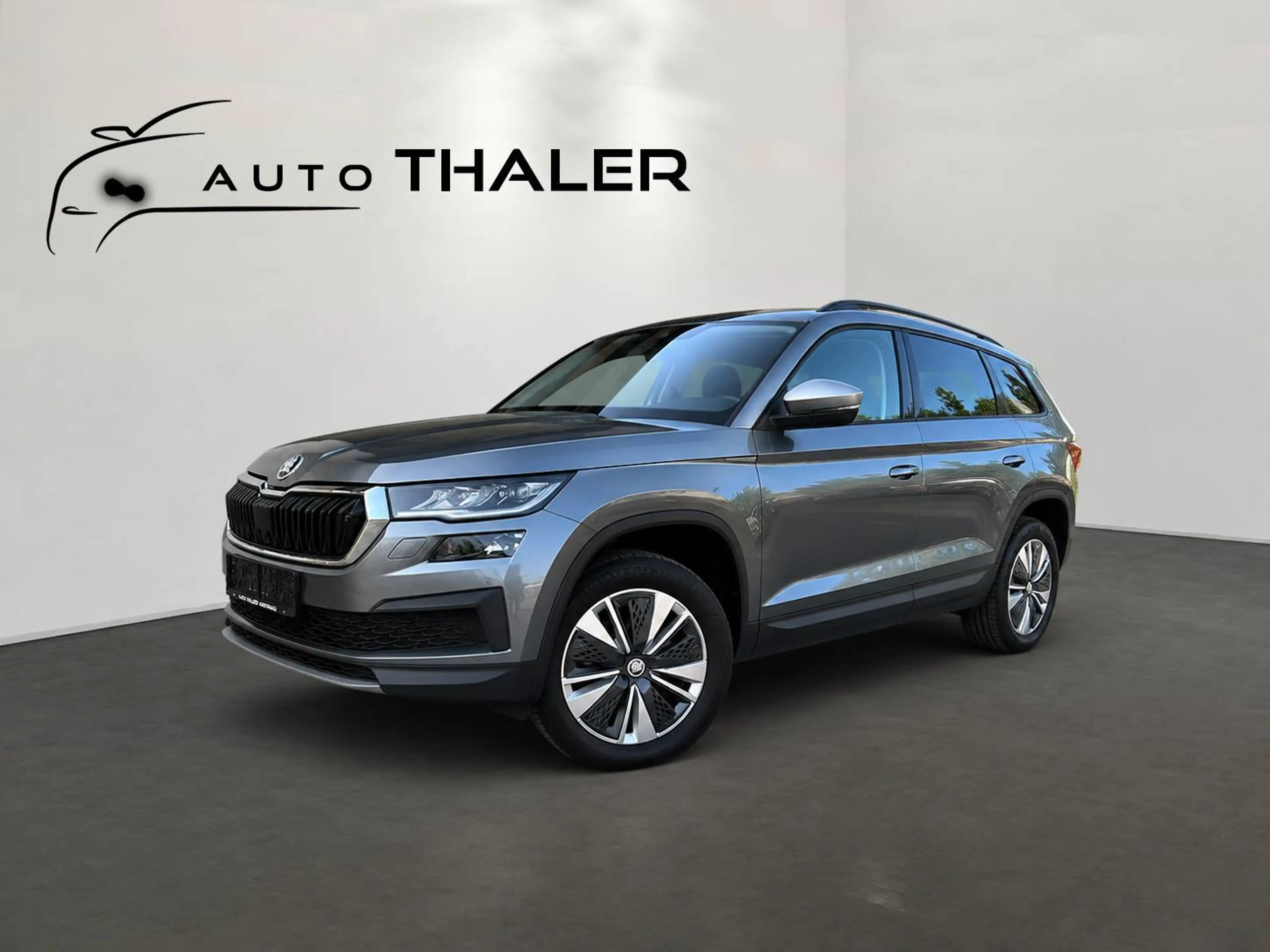 Skoda Karoq Karoq 2,0 TDI 4x4 DSG Ambition Ambition