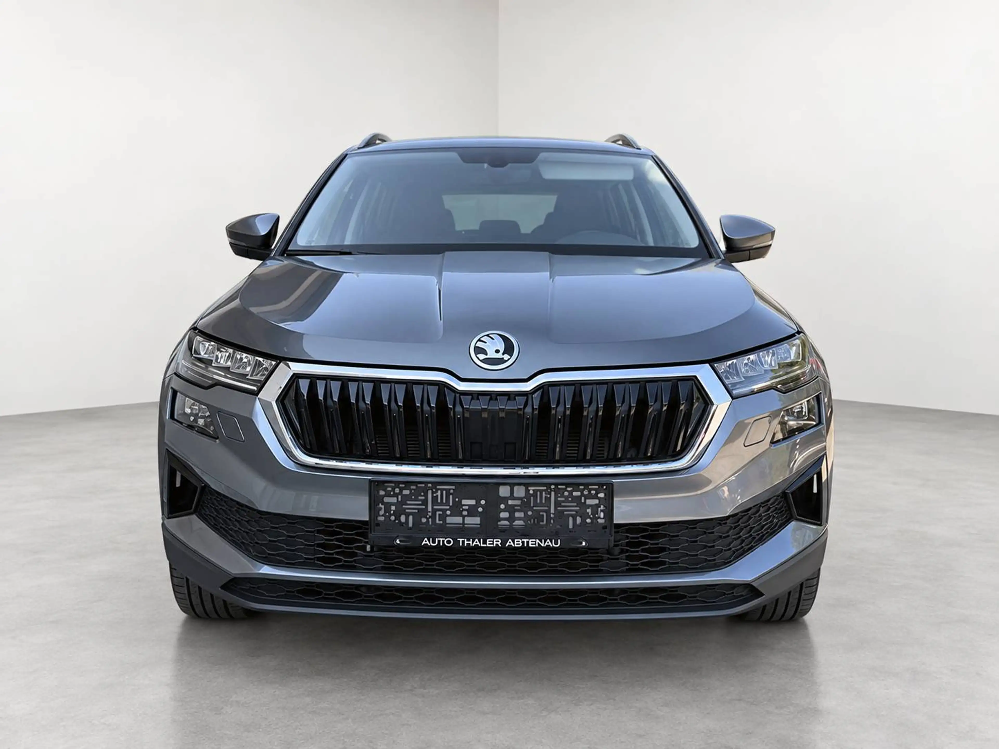 Skoda Karoq Karoq 2,0 TDI 4x4 DSG Ambition Ambition — photo 8