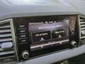Skoda Karoq Karoq 2,0 TDI 4x4 DSG Ambition Ambition Grau - thumbnail 14
