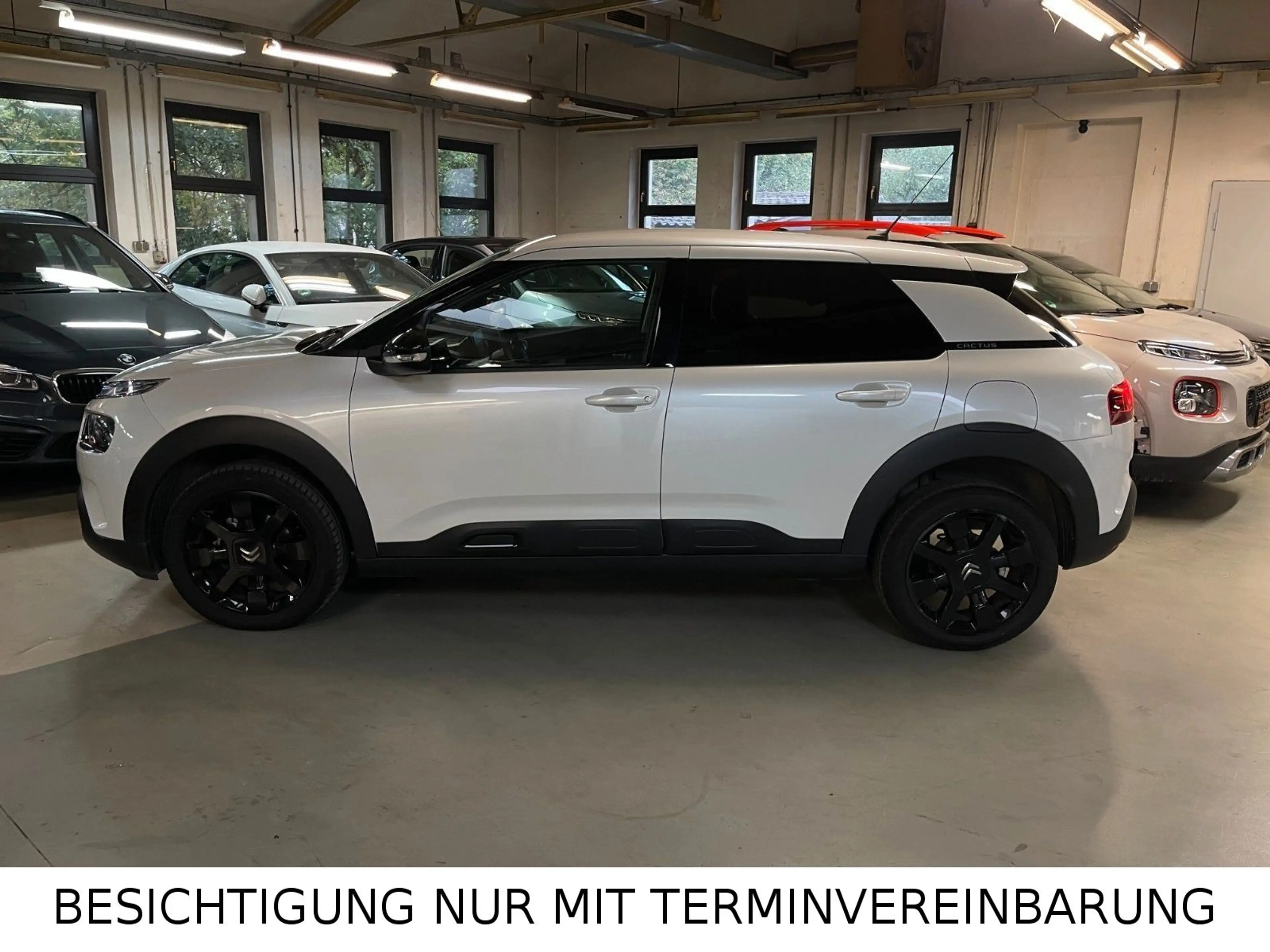 Citroen C4 Cactus Shine SPUR NAVI CARPLAY KEYLESS KAMERA — photo 6