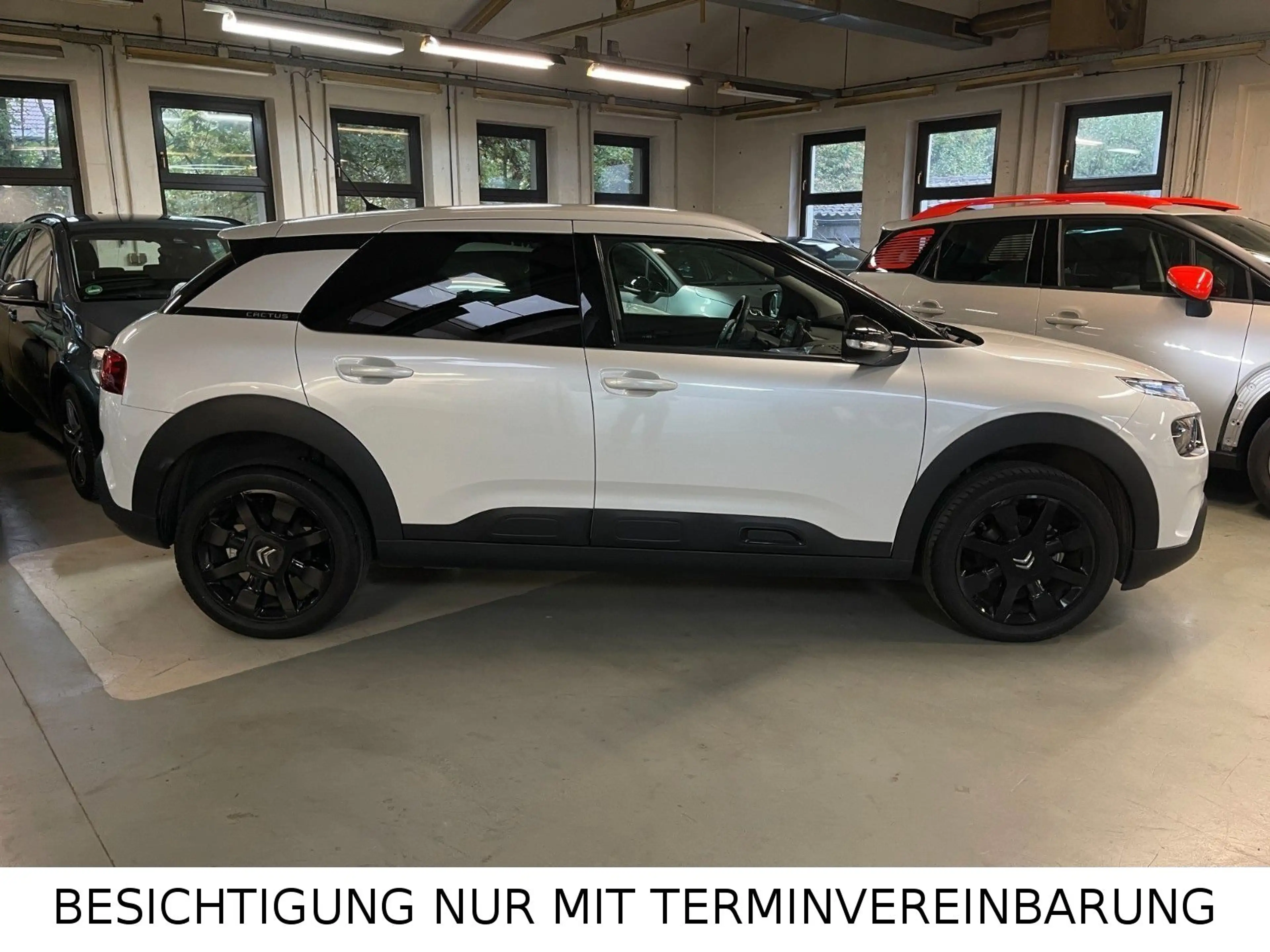 Citroen C4 Cactus Shine SPUR NAVI CARPLAY KEYLESS KAMERA — photo 2