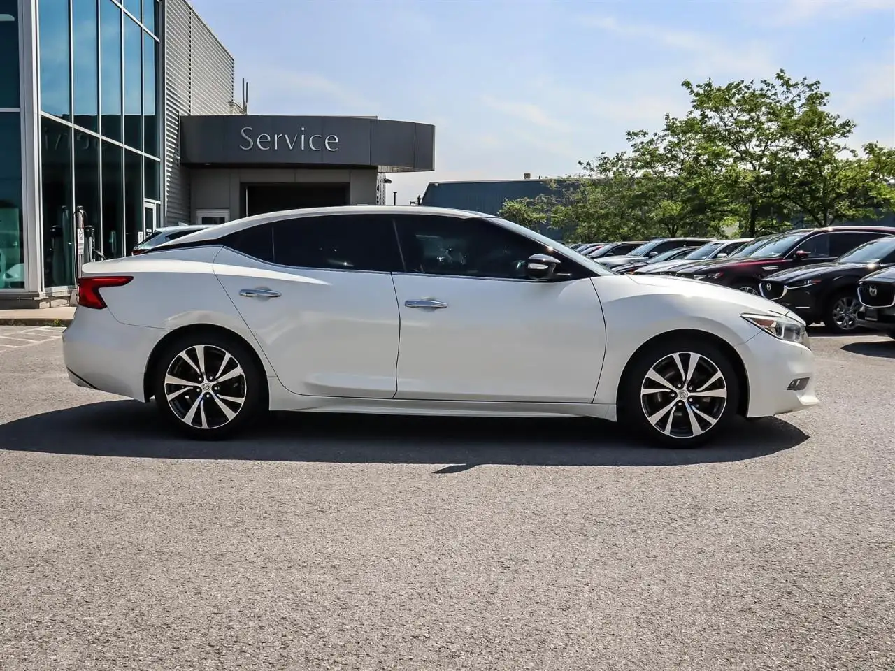 Nissan Maxima fotografie Nissan Maxima