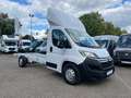 Citroen Jumper 2,2 HDI Maxi Fahrgestell *Luftfederung* Bílá - thumbnail 3