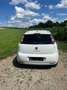 Fiat Punto Weiß - thumbnail 2
