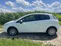 Fiat Punto Weiß - thumbnail 3