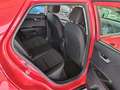 Kia Stonic Stonic 1.0 t-gdi mhev Style s/Design Pack100cv imt Rosso - thumbnail 12